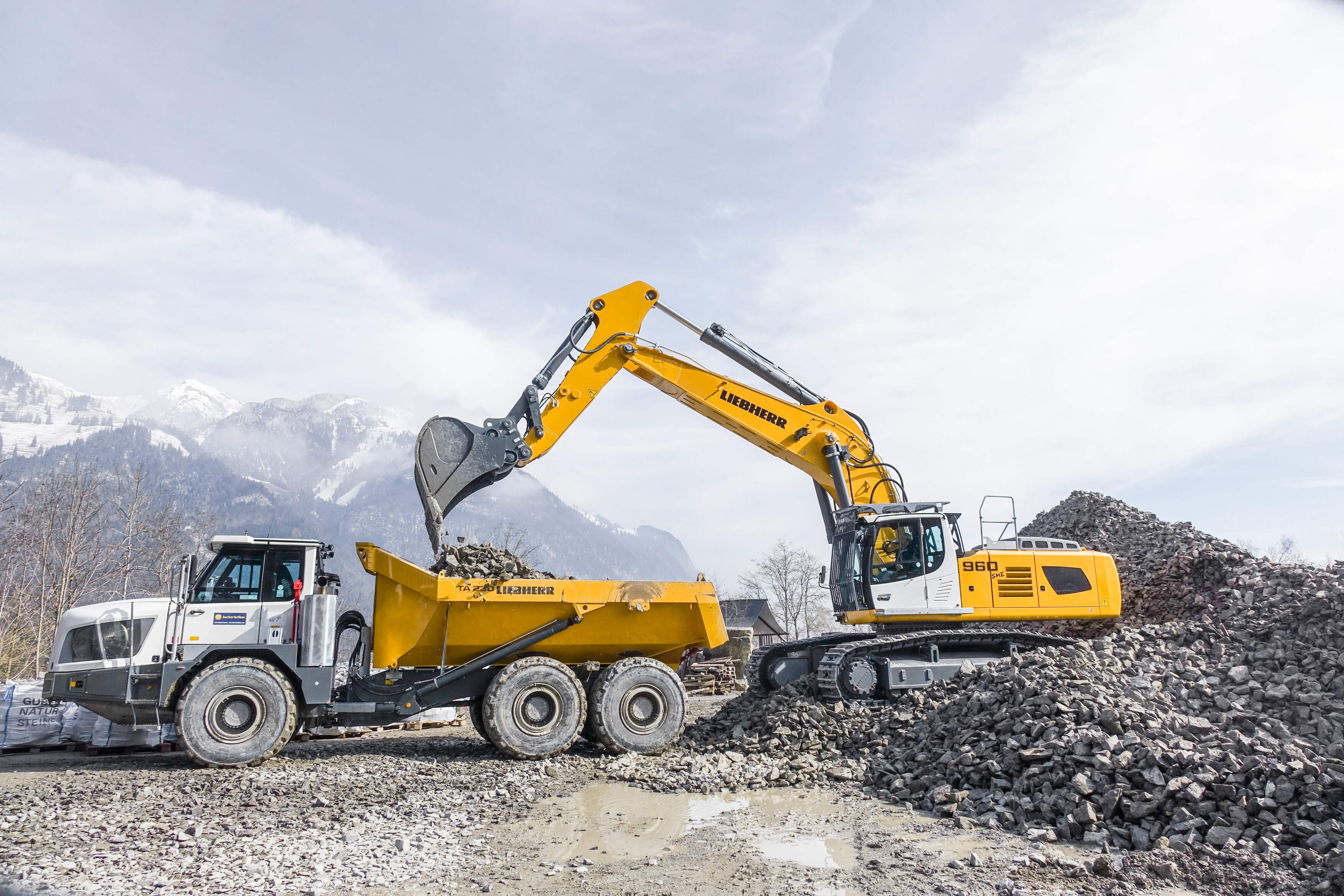 Crawler Excavators